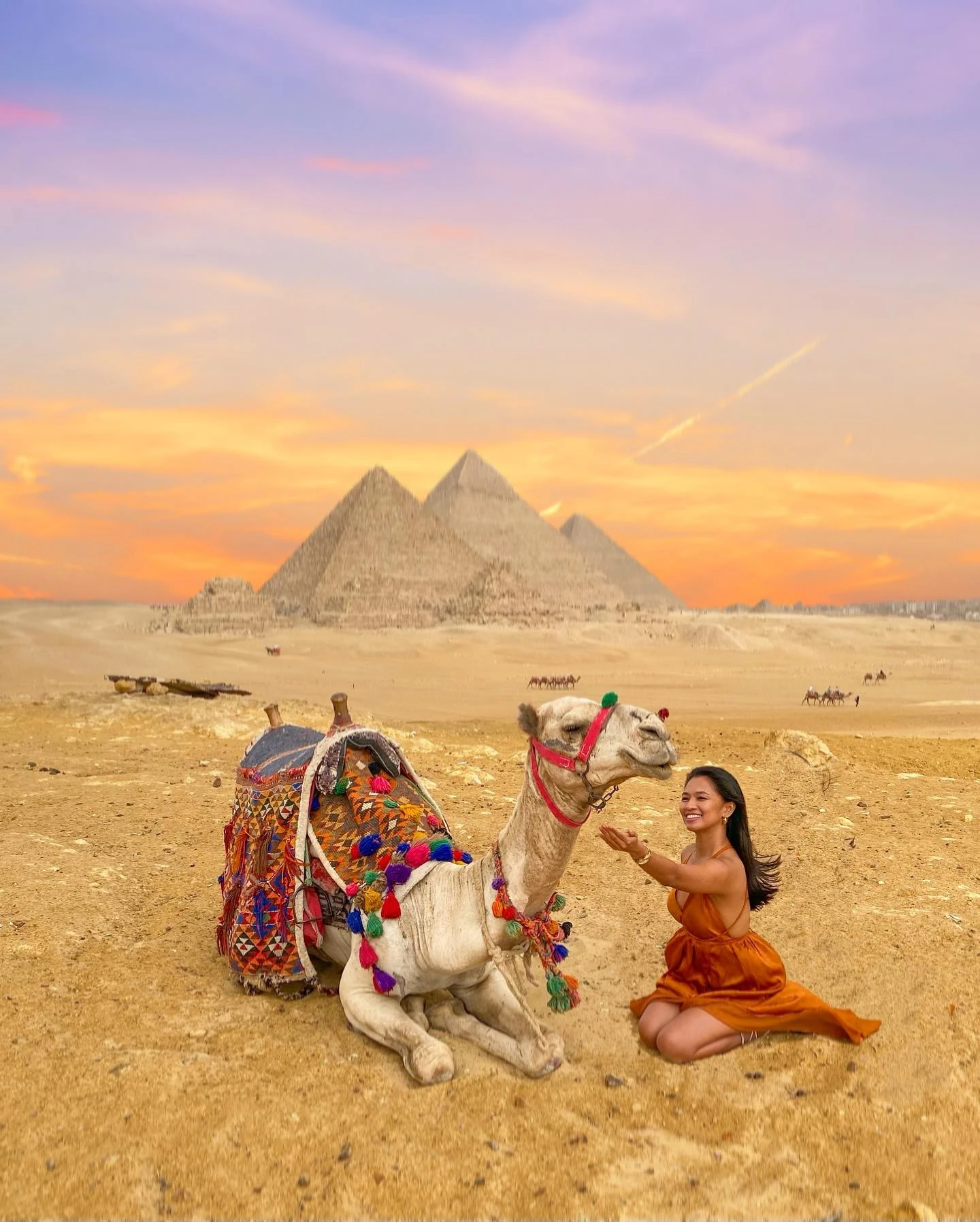 A solo traveller with a decorated camel at sunset beside the pyramids