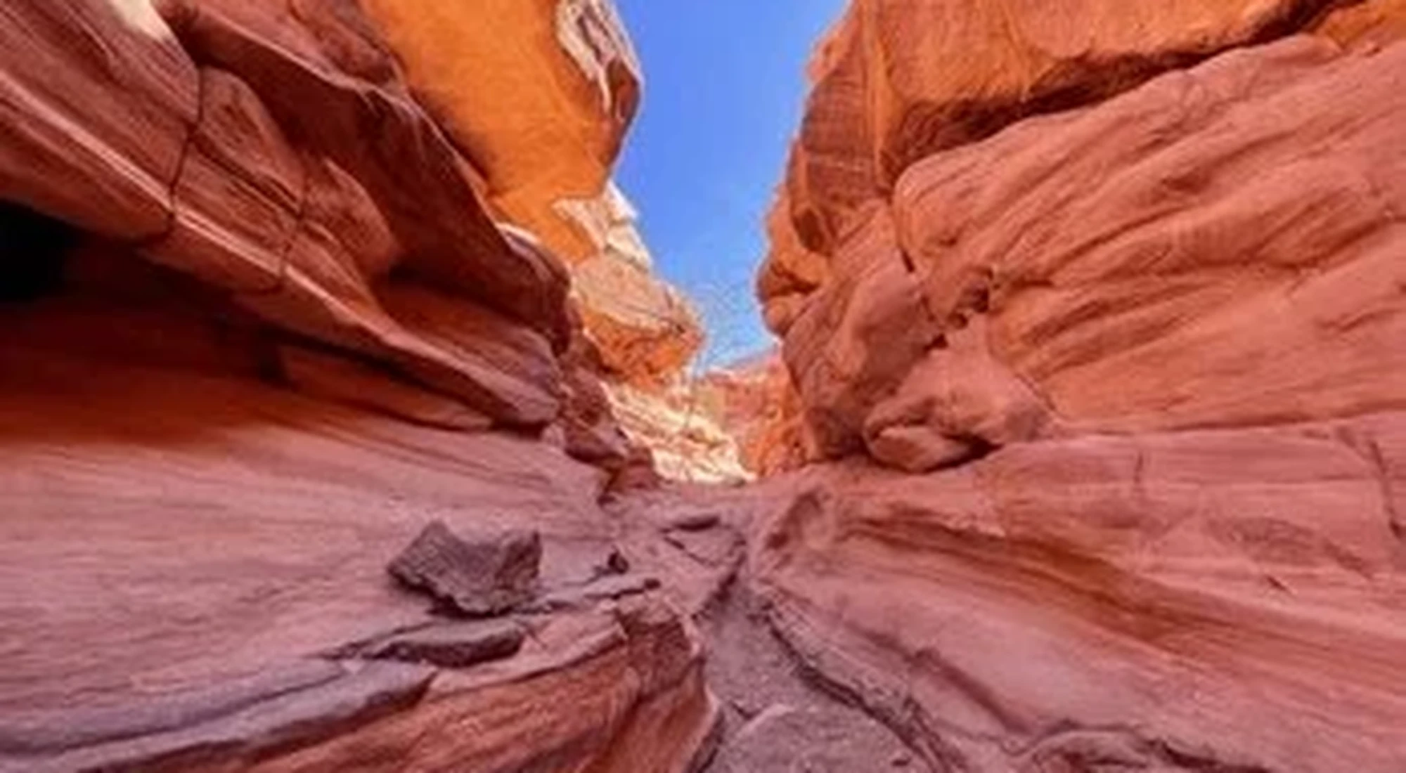 Migrating Storks And Raptors Over Sinai: A Seasonal Spectacle