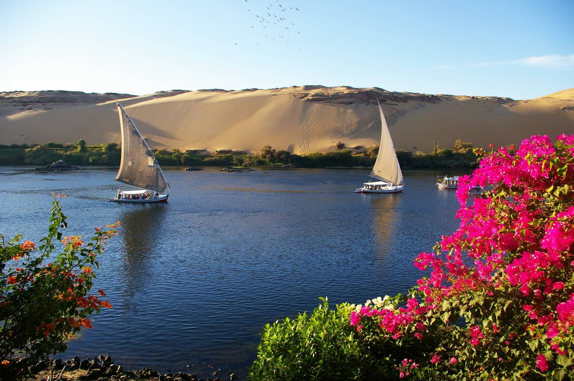 Elephantine Island