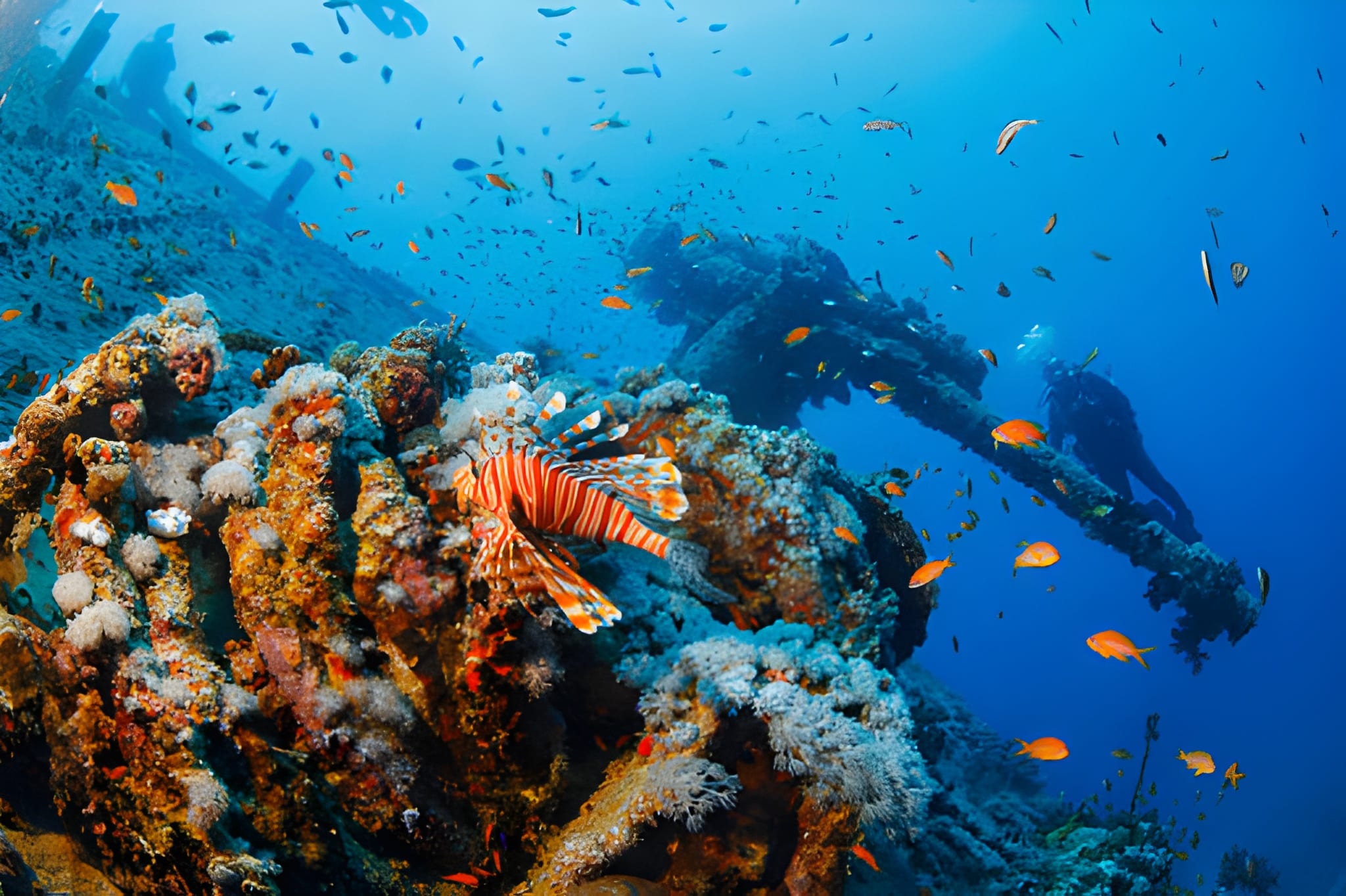 Ras Mohammed National Park