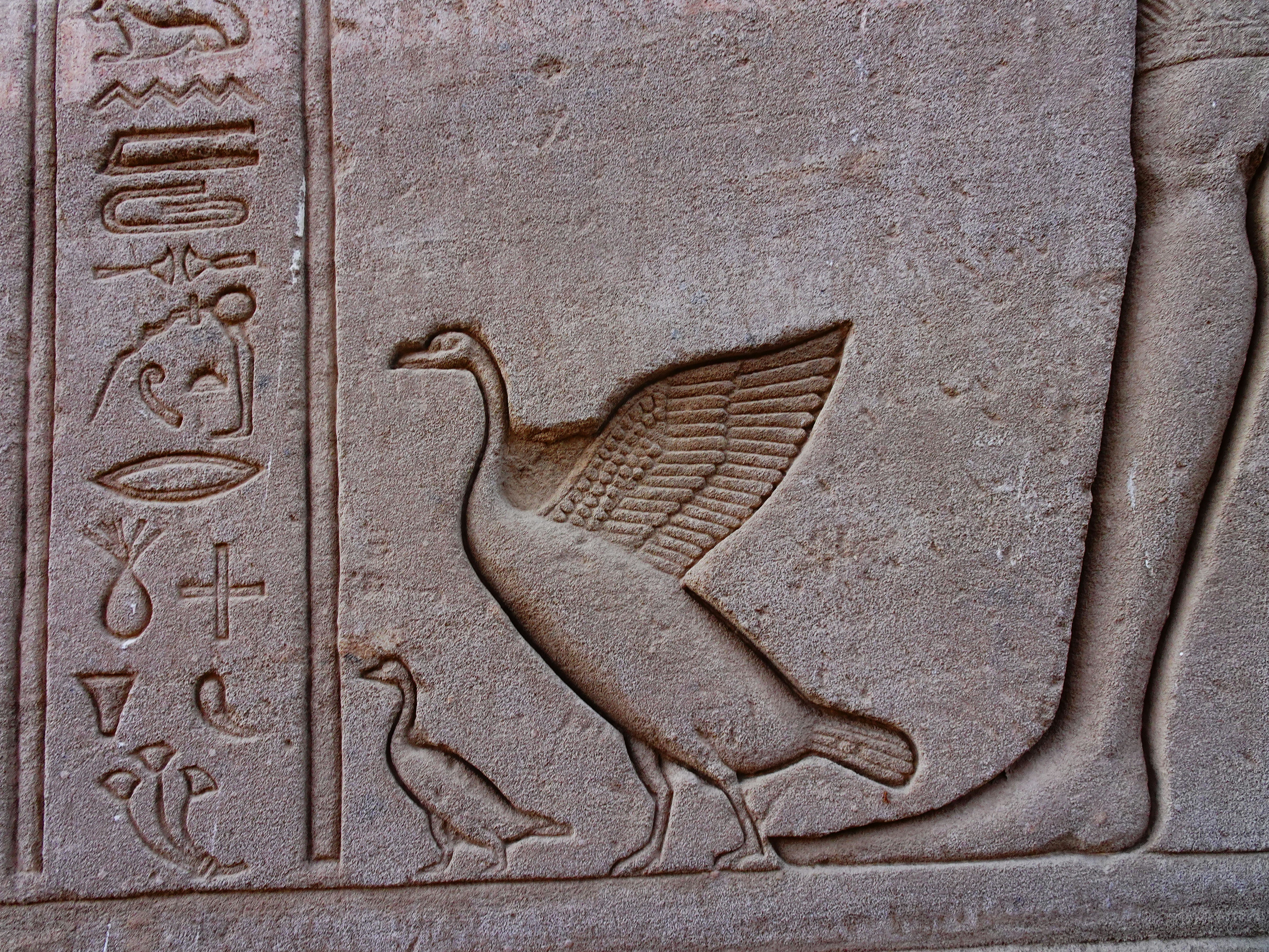 The World of Ancient Egyptian Art Animals
