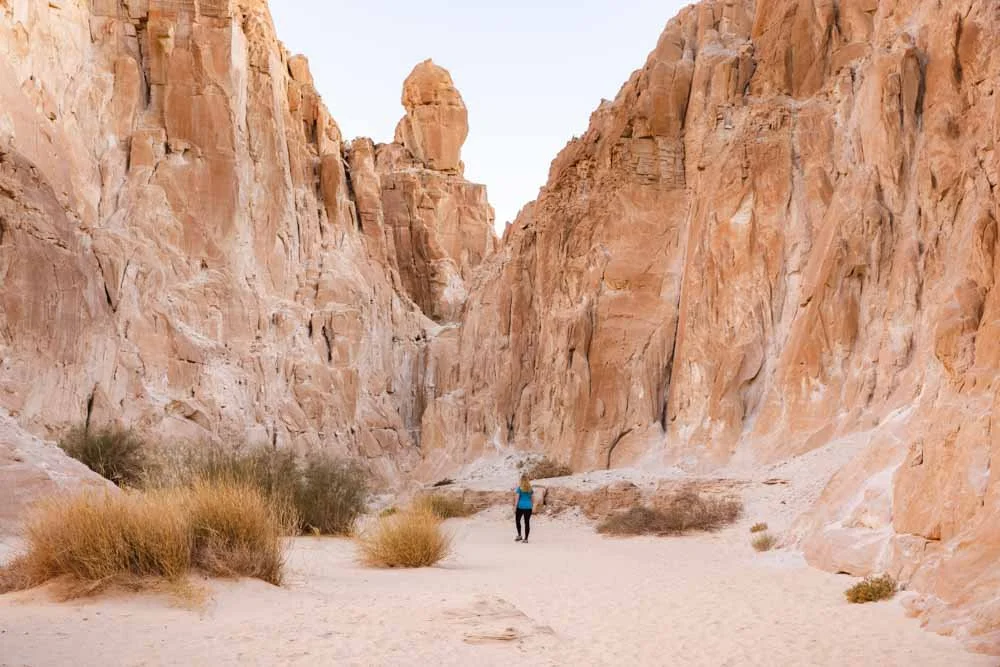 Why Am I Obsessed with Ancient Egypt