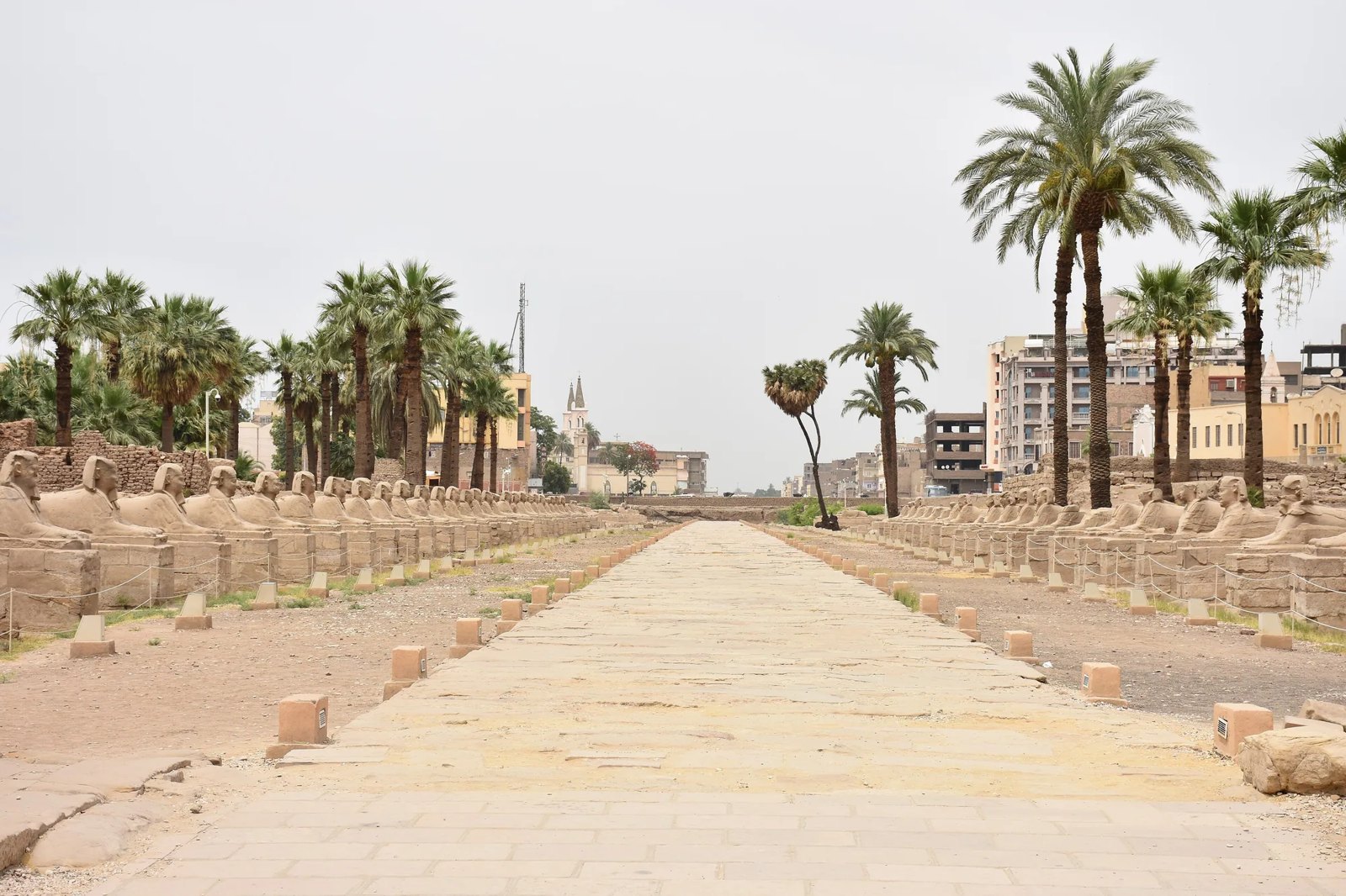Avenue of Sphinxes lined with palm trees in Luxor
